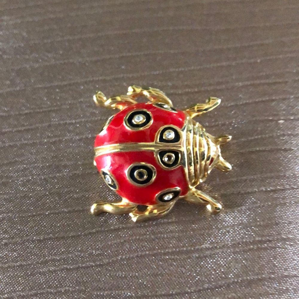 Vintage lady bug pin
